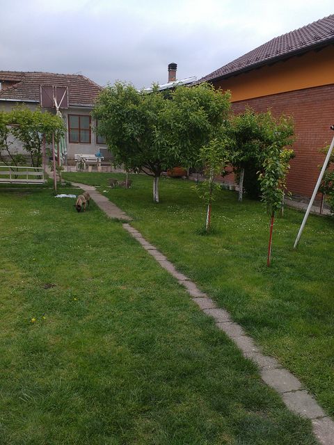 Stanoja Glavaša 100, Novi Sad - 2