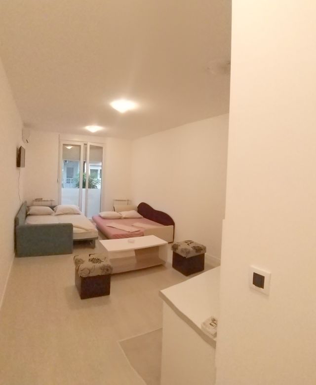 Vase Pelagića 6, Novi Sad - 7