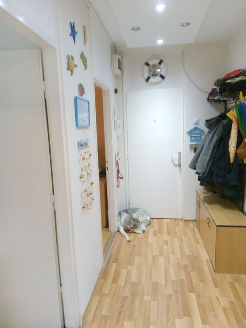 Strumička 6, Novi Sad - 4