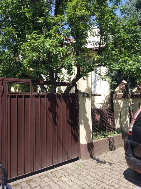 Pajevićeva 10, Novi Sad - 2