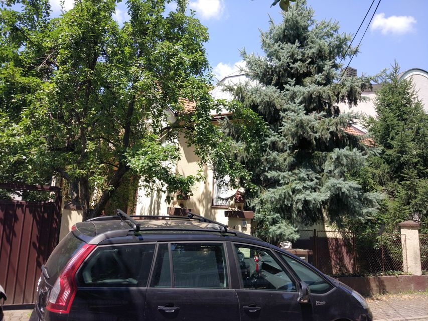 Pajevićeva 10, Novi Sad - 3