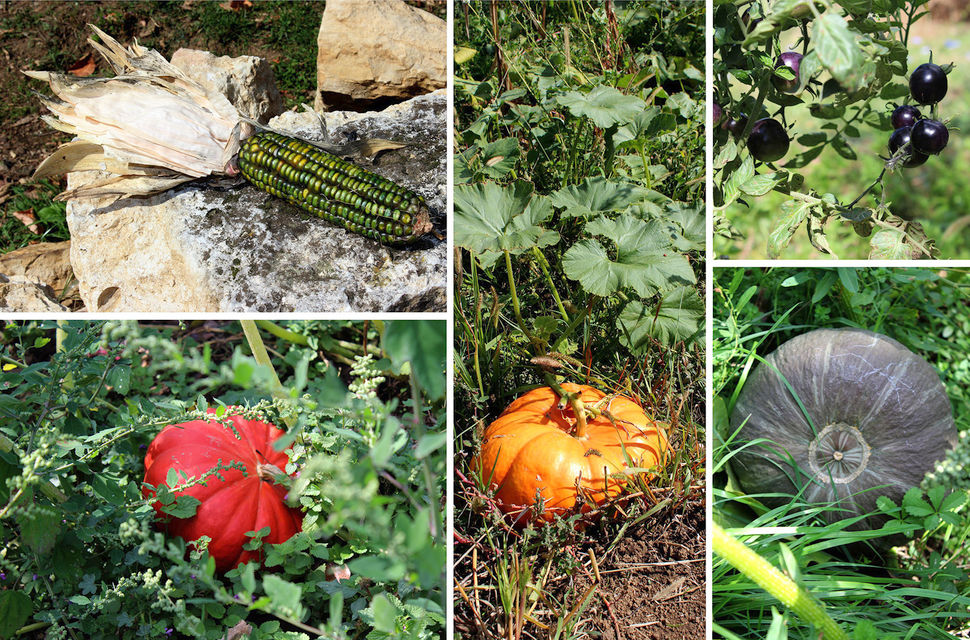 Milije Uroševića 107, Beograd - 18