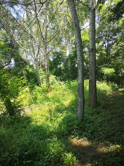 Milije Uroševića 107, Beograd - 15