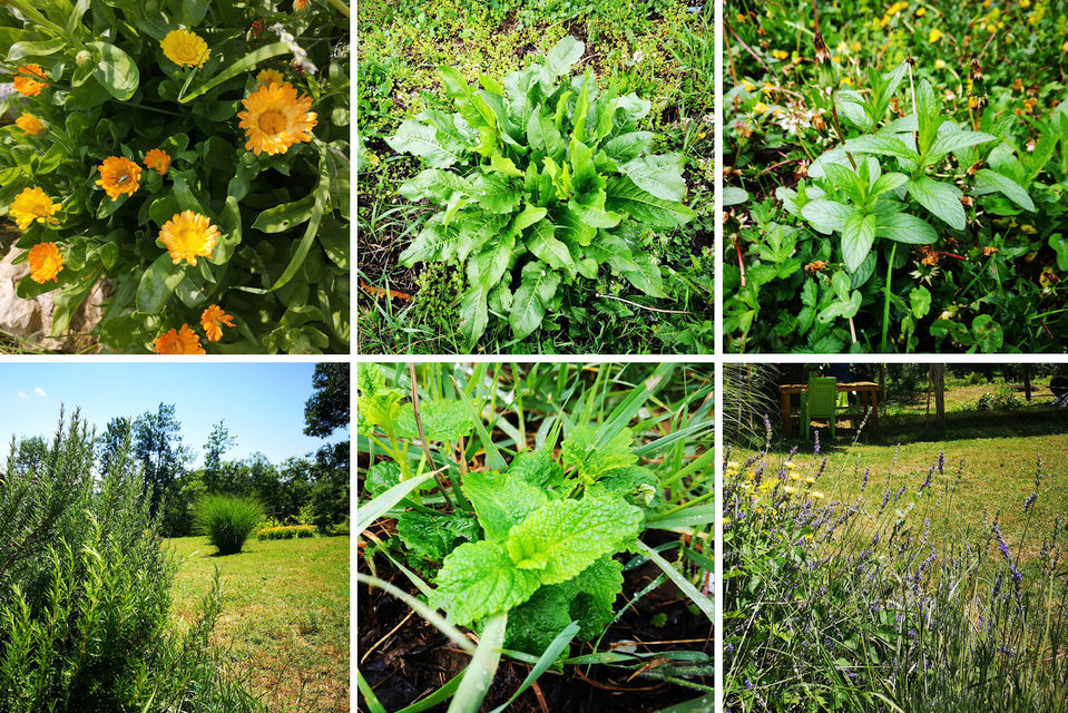 Milije Uroševića 107, Beograd - 20