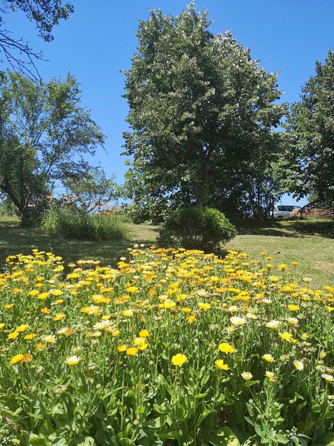 Milije Uroševića 107, Beograd - 11