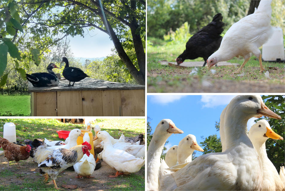 Milije Uroševića 107, Beograd - 17