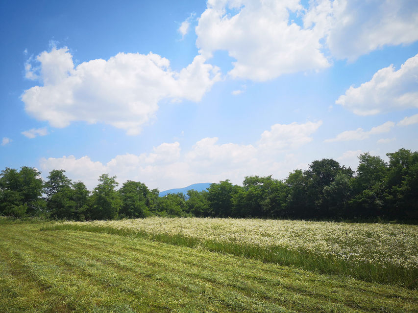 Milije Uroševića 107, Beograd - 16