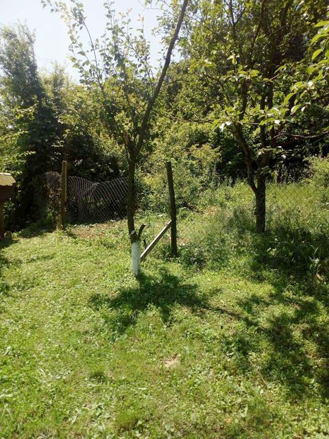 Žike Begojevića 49, Bešenovački Prnjavor - 17