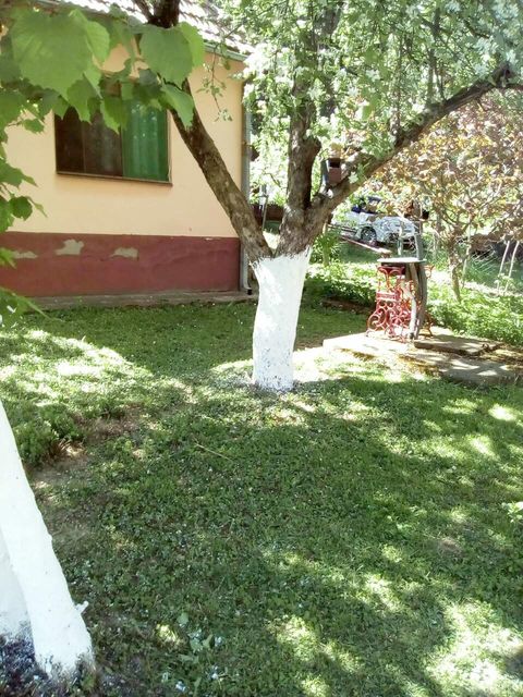 Žike Begojevića 49, Bešenovački Prnjavor - 8