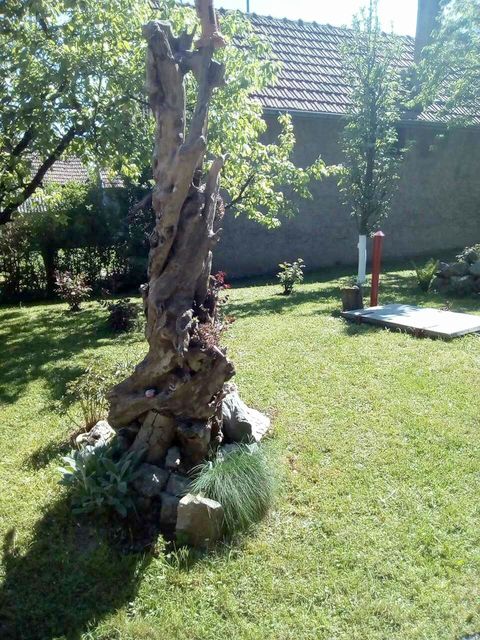 Žike Begojevića 49, Bešenovački Prnjavor - 5