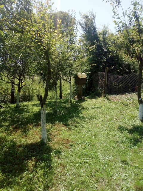 Žike Begojevića 49, Bešenovački Prnjavor - 4