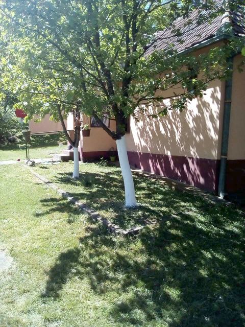 Žike Begojevića 49, Bešenovački Prnjavor - 7