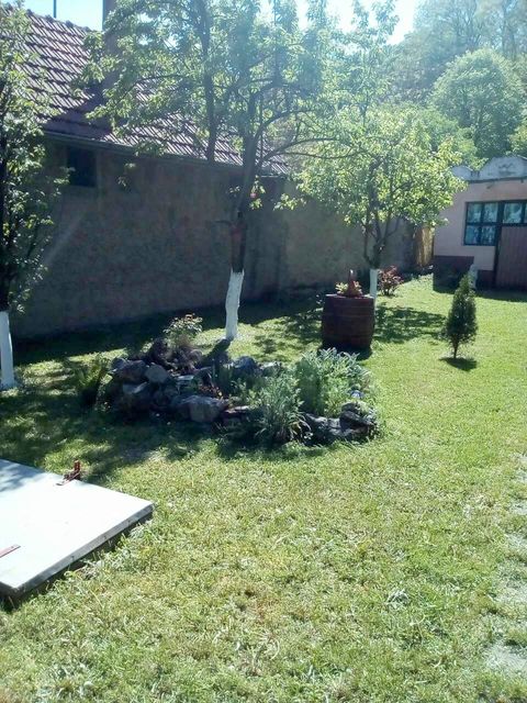 Žike Begojevića 49, Bešenovački Prnjavor - 12