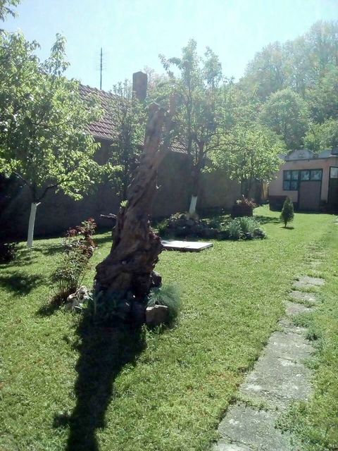 Žike Begojevića 49, Bešenovački Prnjavor - 3