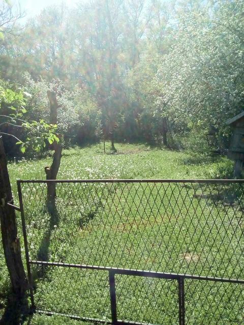 Žike Begojevića 49, Bešenovački Prnjavor - 16