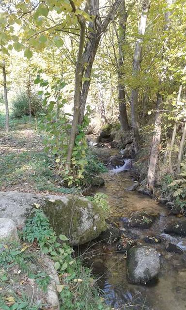 Selo crni vrh 20, Pirot - 8