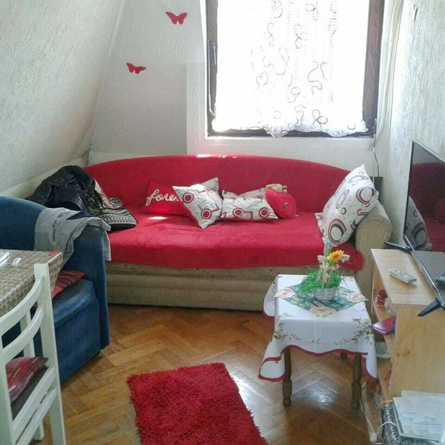 Rajka Ružića 58, Beograd