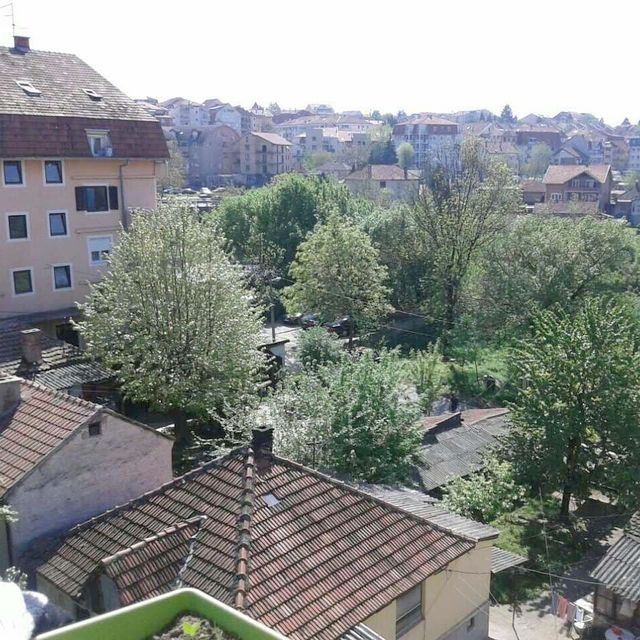 Rajka Ružića 58, Beograd - 6