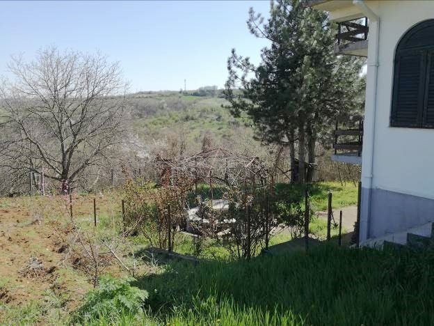 Milovana Grujića 5, Mali Požarevac - 4