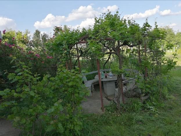 Milovana Grujića 5, Mali Požarevac - 5