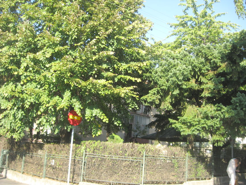 Stojana Matića 29, Beograd - 8