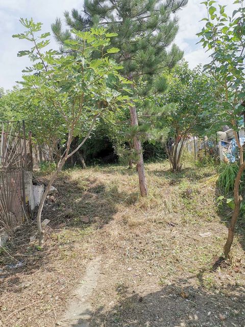 Cara Lazara 47, Sremska Kamenica - 10