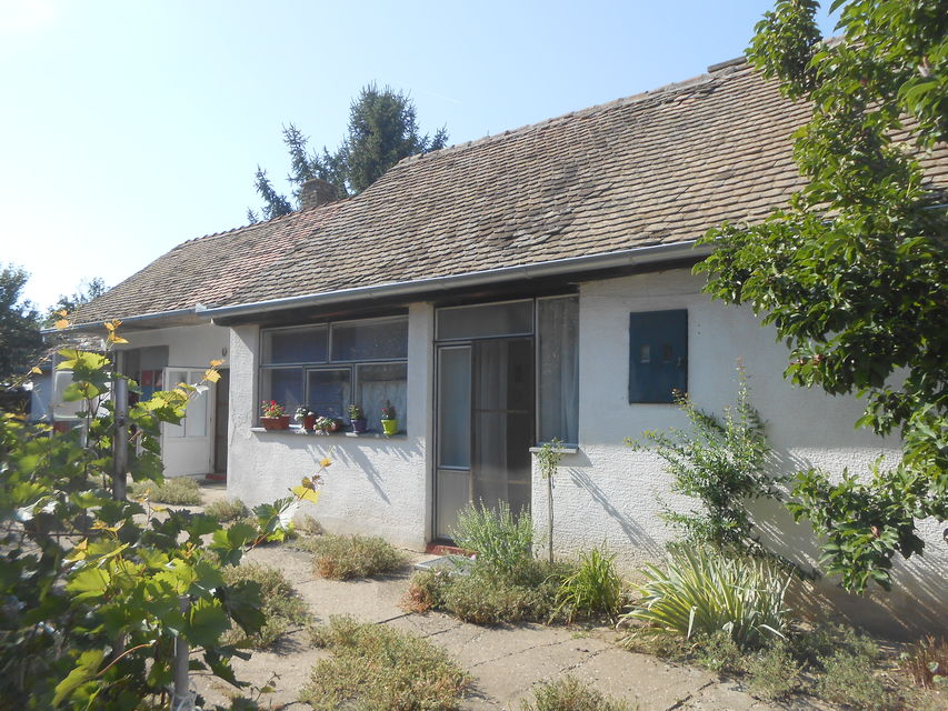 Svetozara Markovića 33, Beška - 3