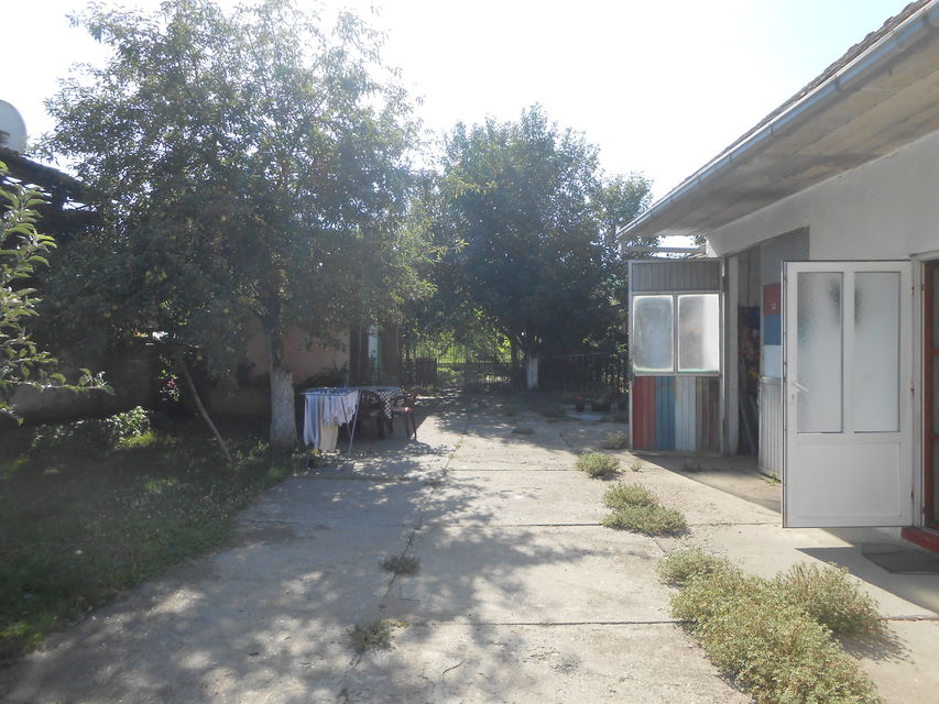 Svetozara Markovića 33, Beška - 4