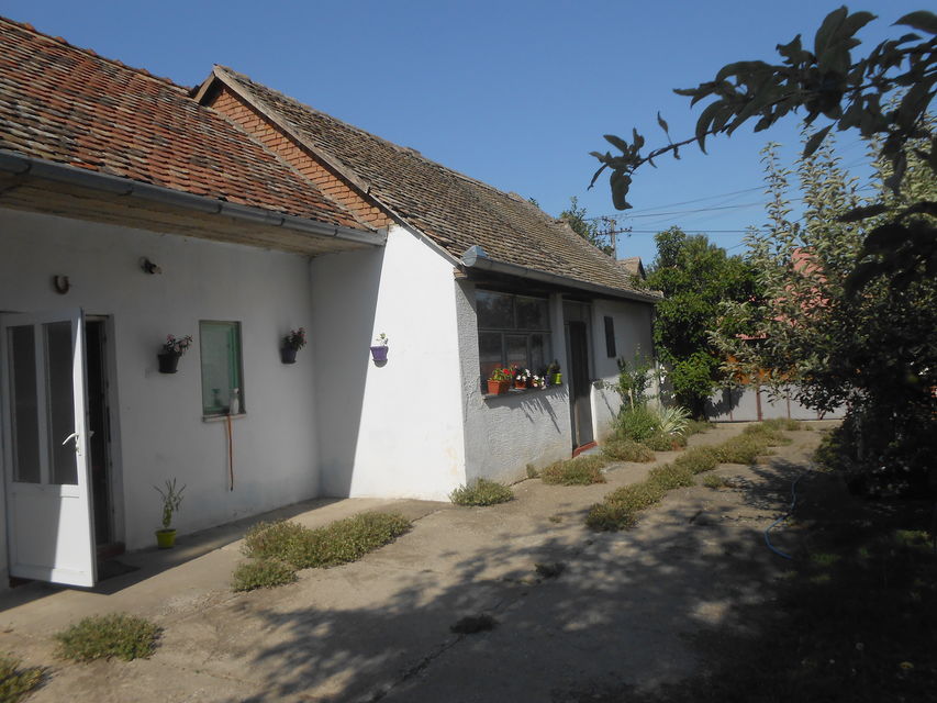 Svetozara Markovića 33, Beška - 5