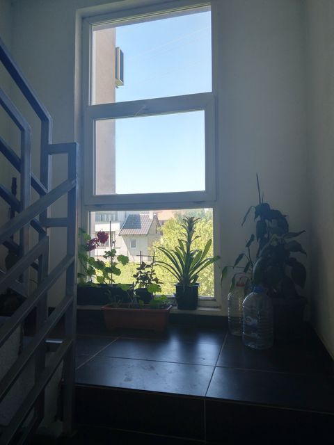 Save Kovačevića 39, Beograd - 2