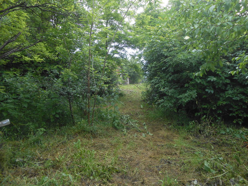 Kralja Petra Prvog 73, Beška - 3