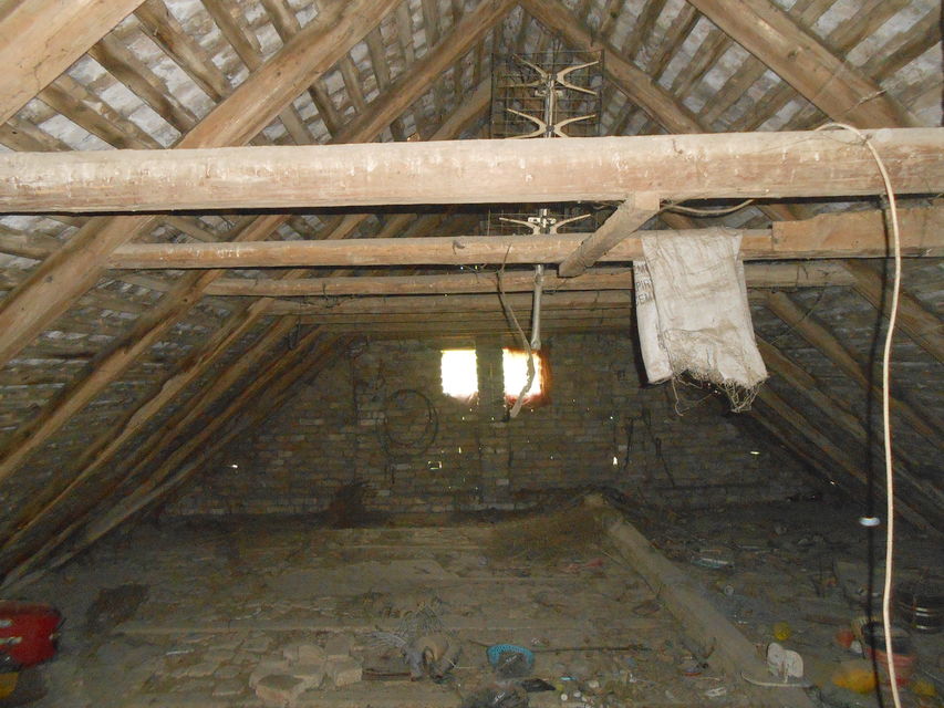 Kralja Petra Prvog 73, Beška - 2