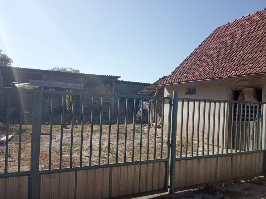 Ledine 123, Kulpin - 4