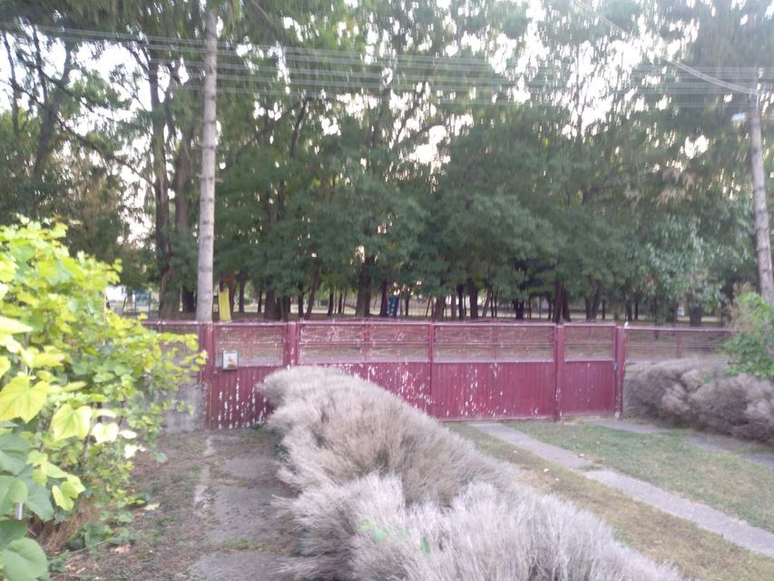 Marka Oreškovića 2a, Banatsko Višnjićevo - 3