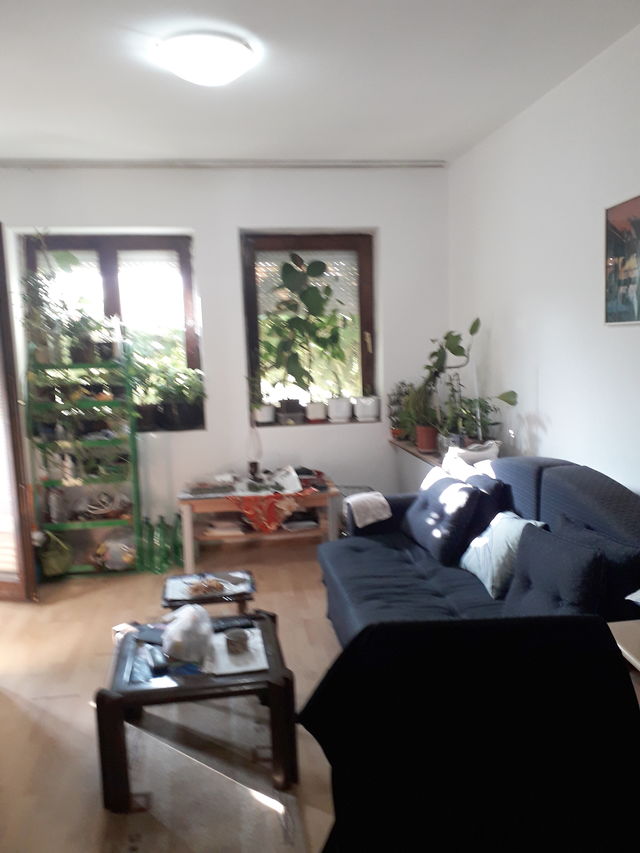 Borova 31, Niš - 15