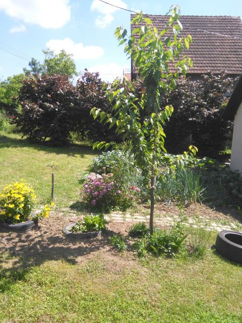 Bore Markovića 8a, Meljak - 5