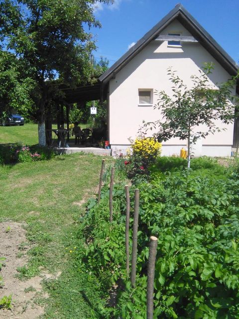 Bore Markovića 8a, Meljak - 4