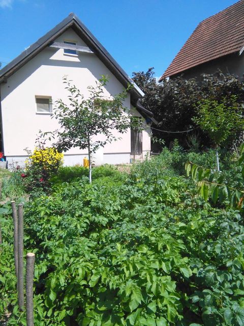 Bore Markovića 8a, Meljak - 2