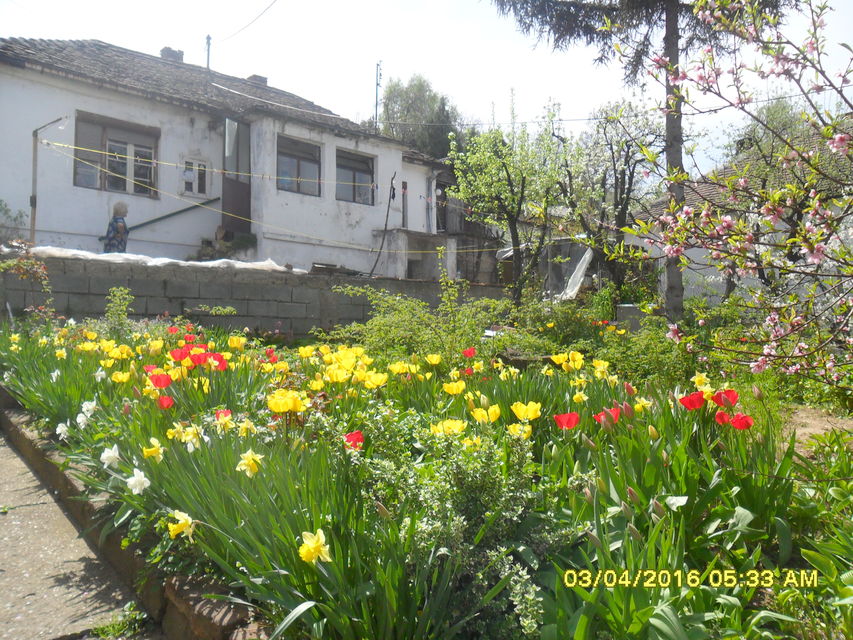 Prote Mateje Nenadovića 75, Smederevo - 2