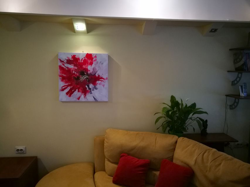 Visokog Stevana 14, Beograd - 8