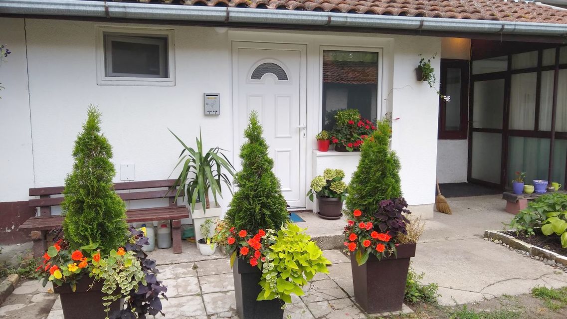 Danila Kiša 30, Novi Sad - 1