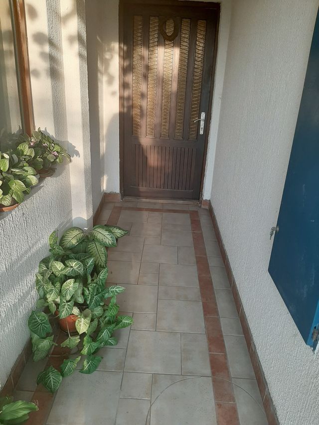 Šavnička 8, Beograd - 5