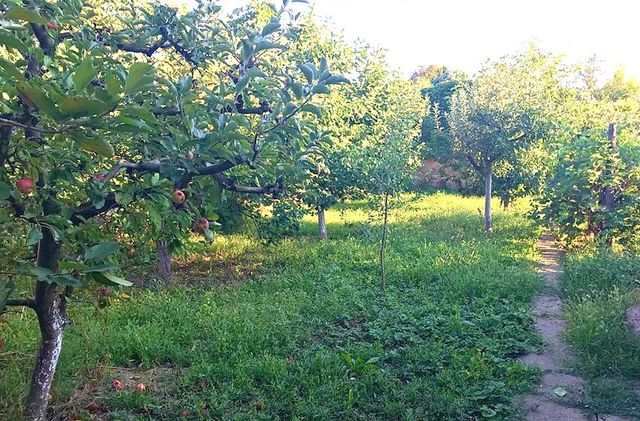 Radivoja Koraća 9, Ruma - 2