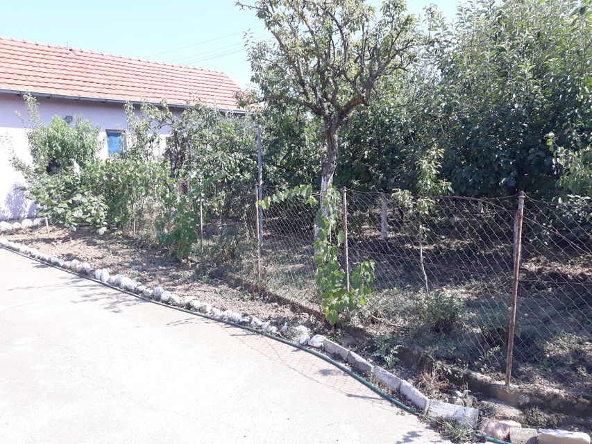 Toplička 23, Žitorađa - 3