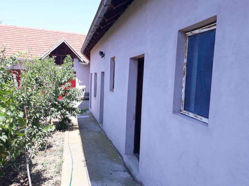 Toplička 23, Žitorađa - 18