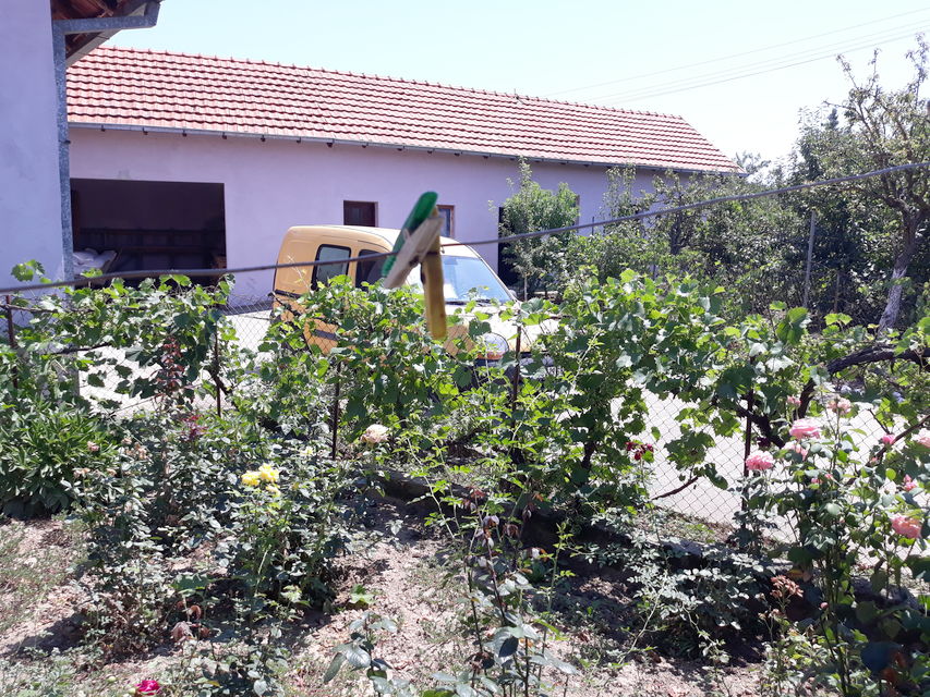 Toplička 23, Žitorađa - 4