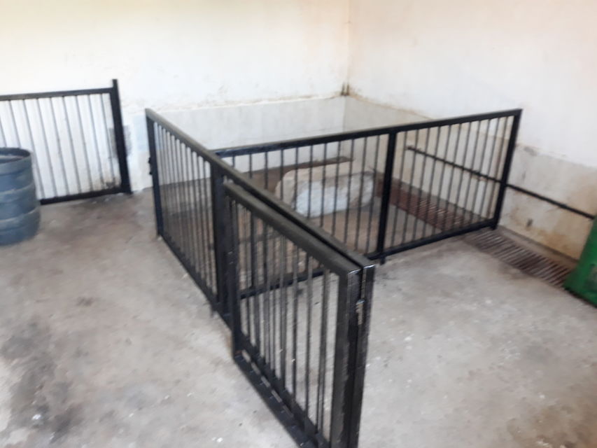 Toplička 23, Žitorađa - 16