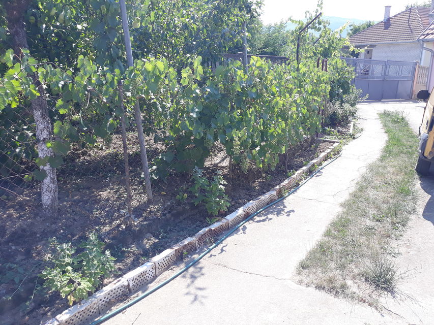 Toplička 23, Žitorađa - 2