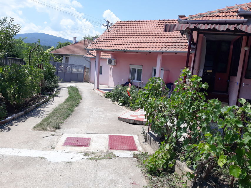 Toplička 23, Žitorađa - 9