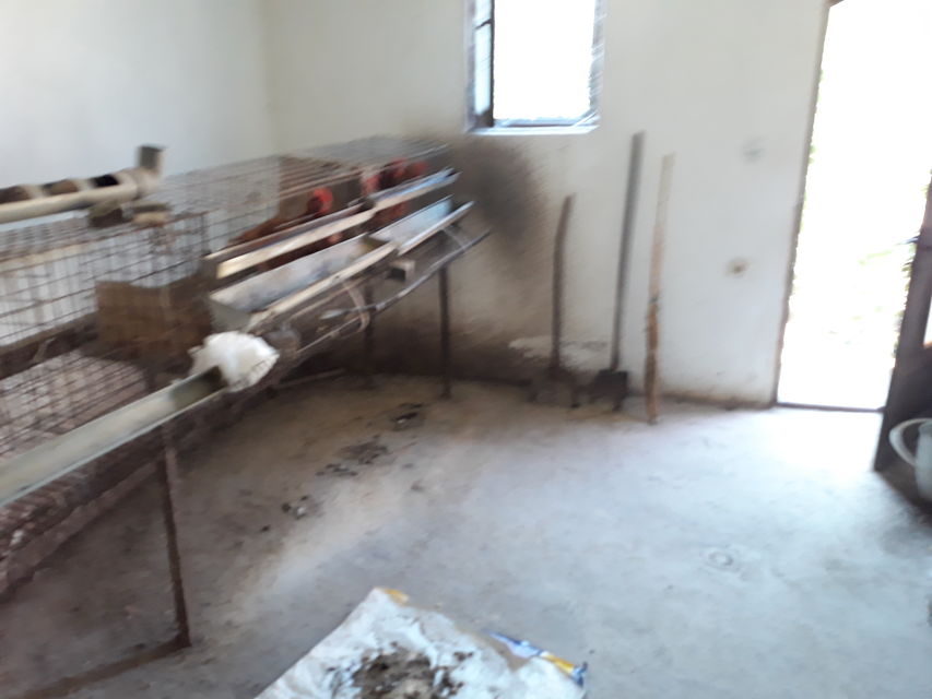 Toplička 23, Žitorađa - 14